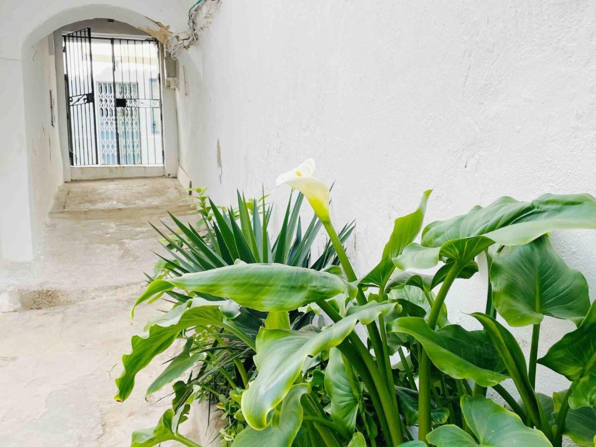 Apartamento Alazul Campillo Conil De La Frontera Ngoại thất bức ảnh